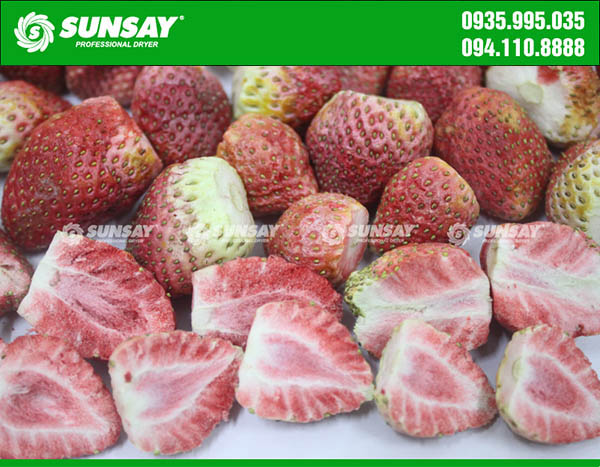Dâu tây sấy thăng hoa