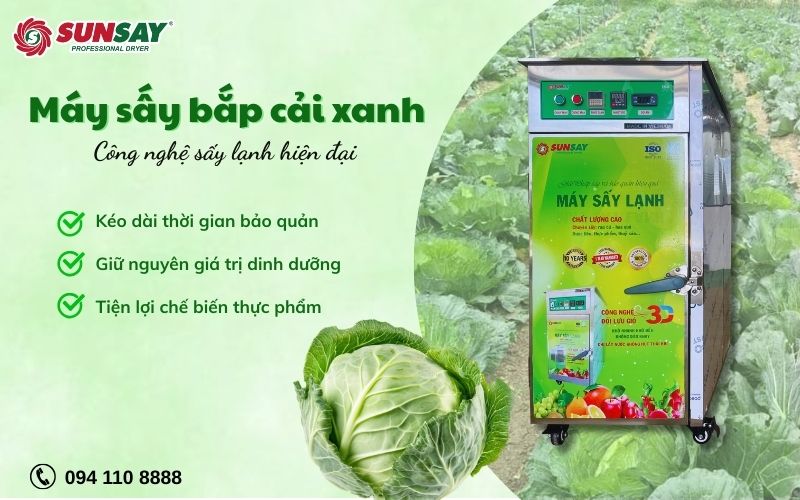 Máy sấy bắp cải xanh