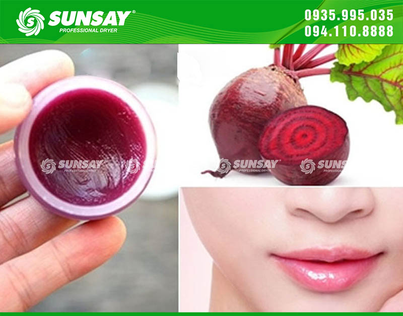 Bột củ dền sấy lạnh với nhiều công dụng chăm sóc sắc đẹp