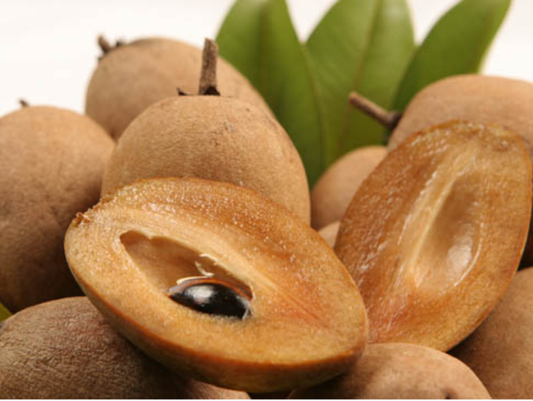 Lựa chọn nguyên liệu kỉ trược khi đem đi sấy