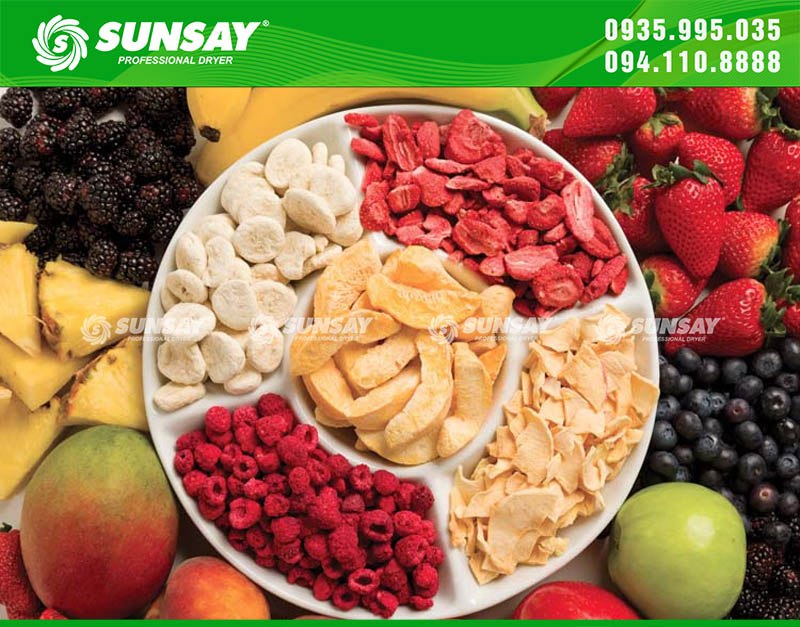 Giá máy sấy trái cây gia đình, đa dang các loại trái cây sấy khô