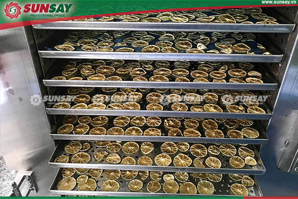 Máy sấy lạnh chanh vỏ xanh