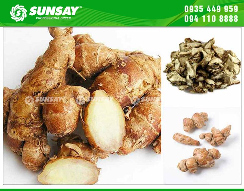 Máy sấy địa liền