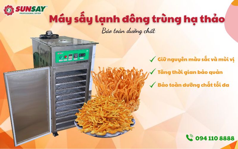 Máy sấy đông trùng hạ thảo