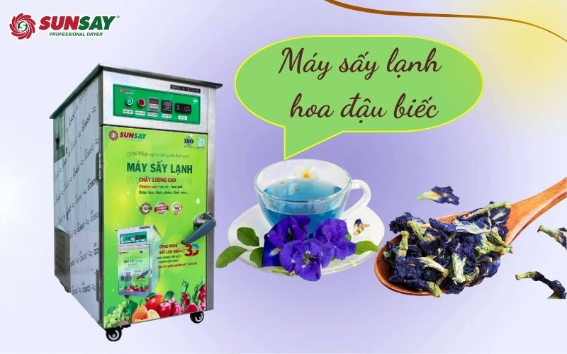 Máy sấy lạnh hoa đậu biếc