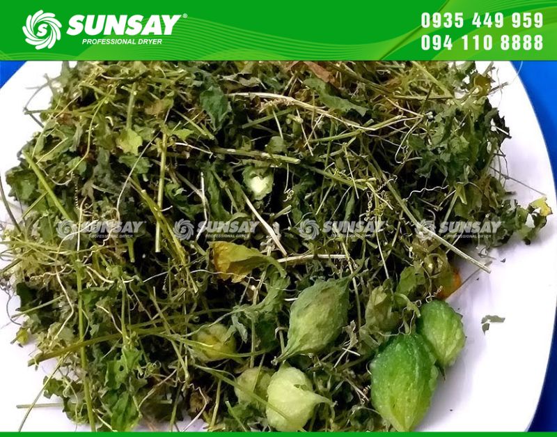 Máy sấy lạnh lá khổ qua