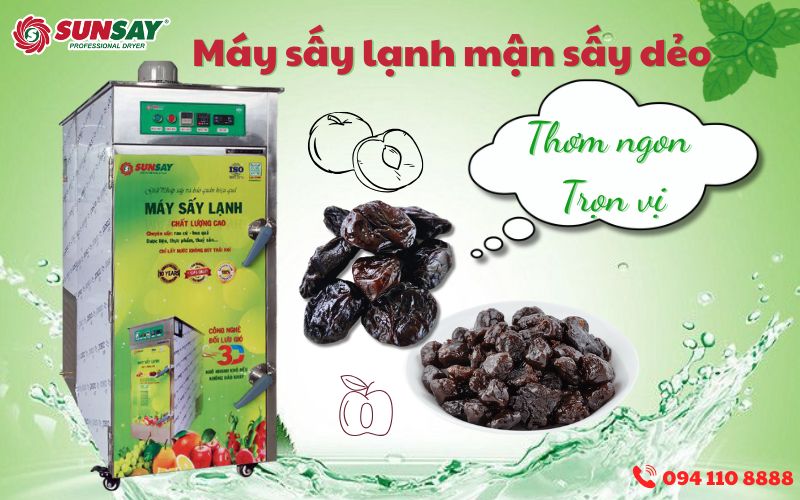 Máy sấy lạnh mận sấy dẻo
