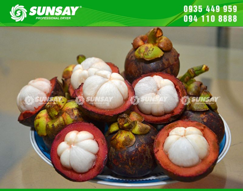 Máy sấy lạnh măng cụt