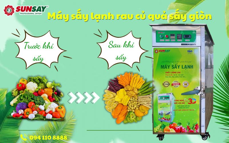 Máy sấy lạnh rau củ quả sấy giòn