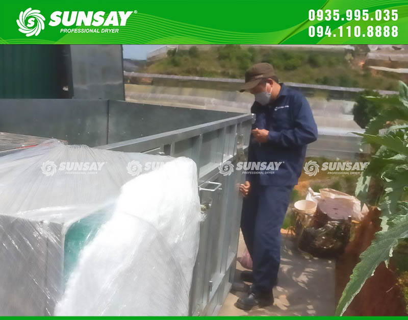 Cung cấp máy sấy hoa Atiso 500kg đến Đà Lạt đúng tiến độ, lắp đặt nhanh chóng