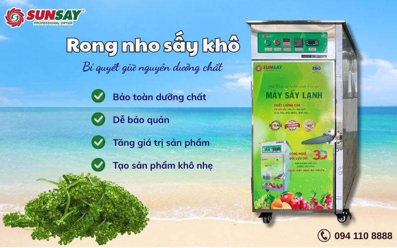 Rong nho sấy khô