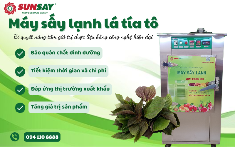 Máy sấy lạnh lá tía tô