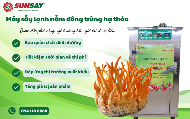 Máy sấy lạnh nấm đông trùng hạ thảo