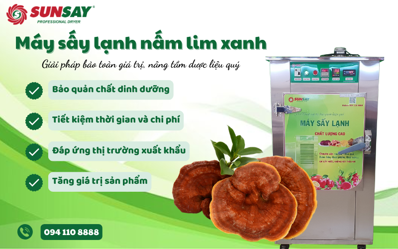 Máy sấy lạnh nấm lim xanh