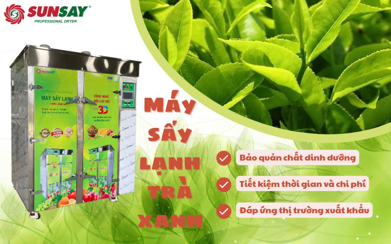 Máy sấy lạnh trà xanh