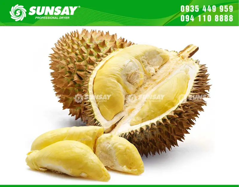 Sầu riêng là loại trái cây chứa nhiều dinh dưỡng