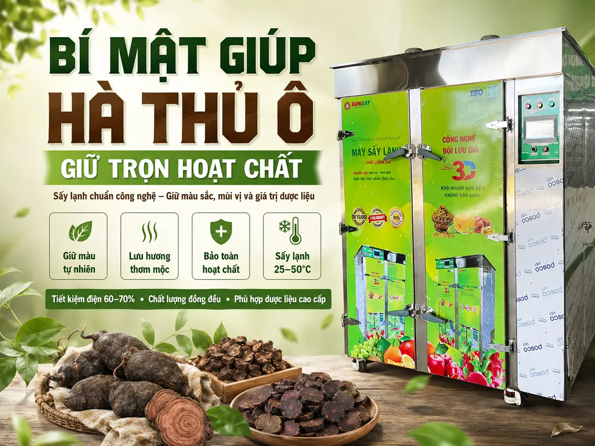 Bí mật giúp hà thủ ô sấy lạnh giữ nguyên màu sắc, mùi vị và hoạt chất