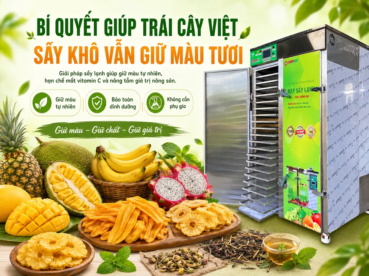 Làm thế nào để trái cây Việt giữ được màu sắc tự nhiên sau khi sấy khô là câu hỏi quan trọng đối với các cơ sở chế biến muốn nâng cao chất lượng và giá trị sản phẩm