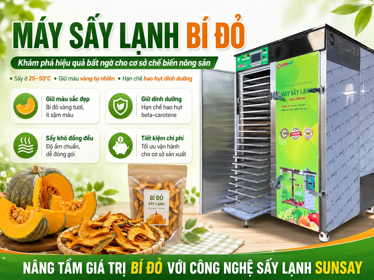 Máy sấy lạnh bí đỏ