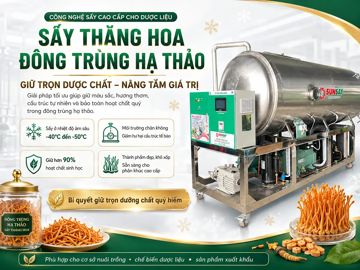 Máy sấy thăng hoa đông trùng hạ thảo
