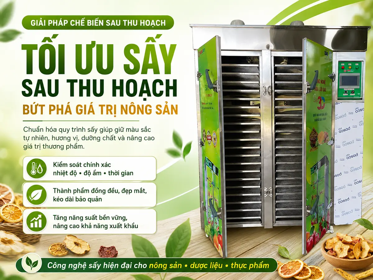 Tối ưu hóa quy trình sấy sau thu hoạch là bước then chốt giúp nâng cao chất lượng, kéo dài thời gian bảo quản và gia tăng giá trị thương phẩm