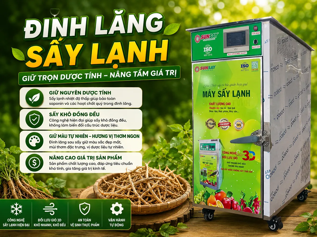 Đinh lăng sấy lạnh