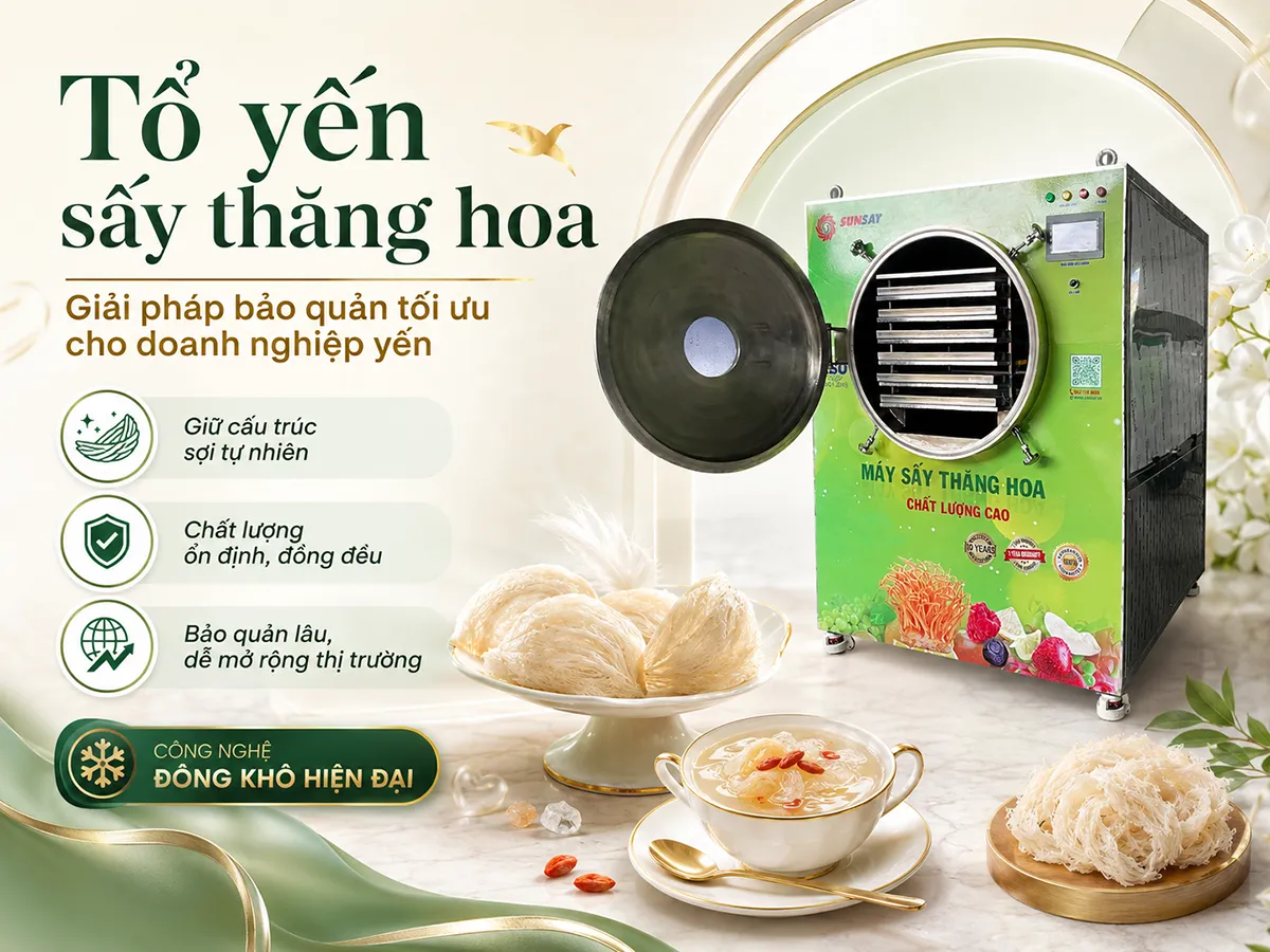 Tổ yến sấy thăng hoa – Giải pháp bảo quản tối ưu cho doanh nghiệp yến