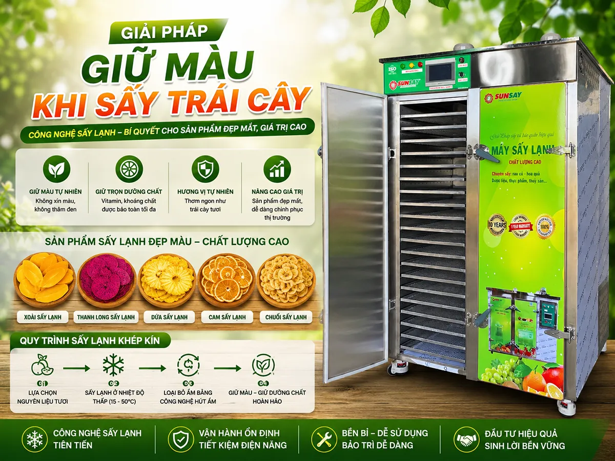 Cách giữ màu khi sấy trái cây giúp thành phẩm đẹp mắt và hấp dẫn hơn