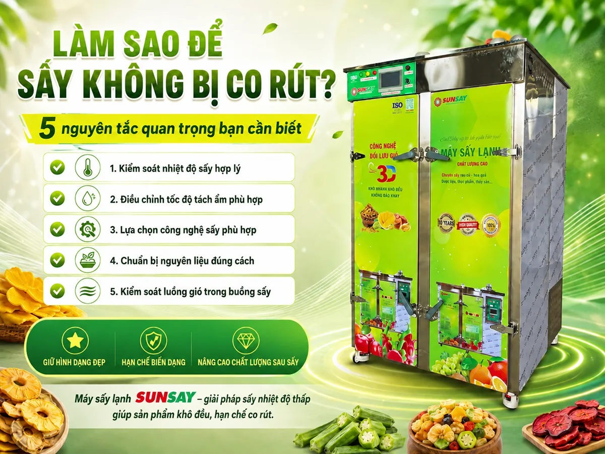 Làm sao để sấy không bị co rút: 5 nguyên tắc quan trọng bạn cần biết