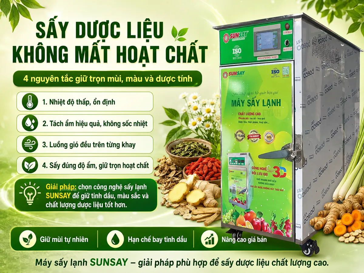 Giải pháp sấy dược liệu không mất hoạt chất giúp nâng cao chất lượng và giá bán
