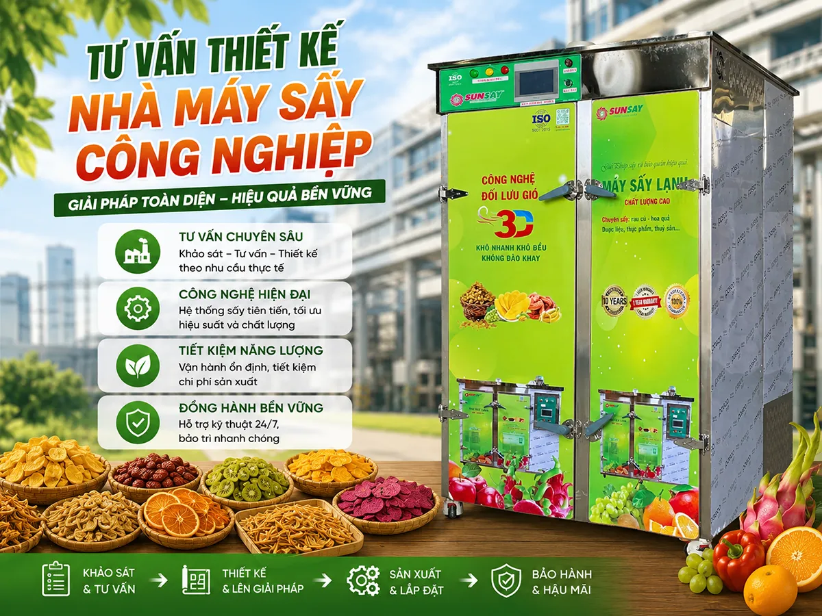 Tư vấn thiết kế nhà máy sấy công nghiệp giúp tối ưu công suất và chất lượng