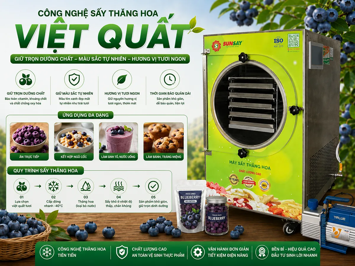Việt quất sấy thăng hoa và 5 lợi ích tuyệt vời đối với sức khỏe