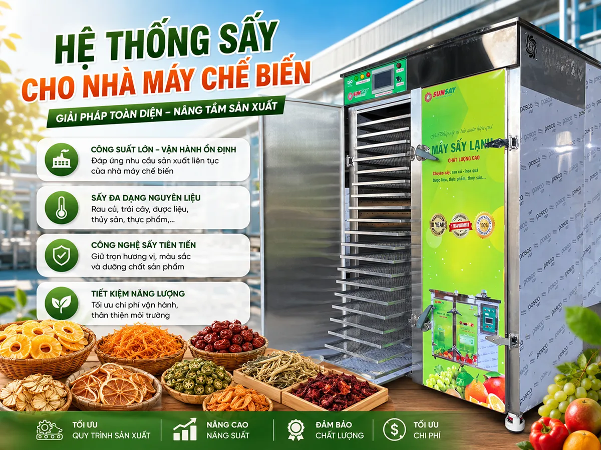 Tại sao doanh nghiệp cần đầu tư hệ thống sấy cho nhà máy chế biến ngay hôm nay?